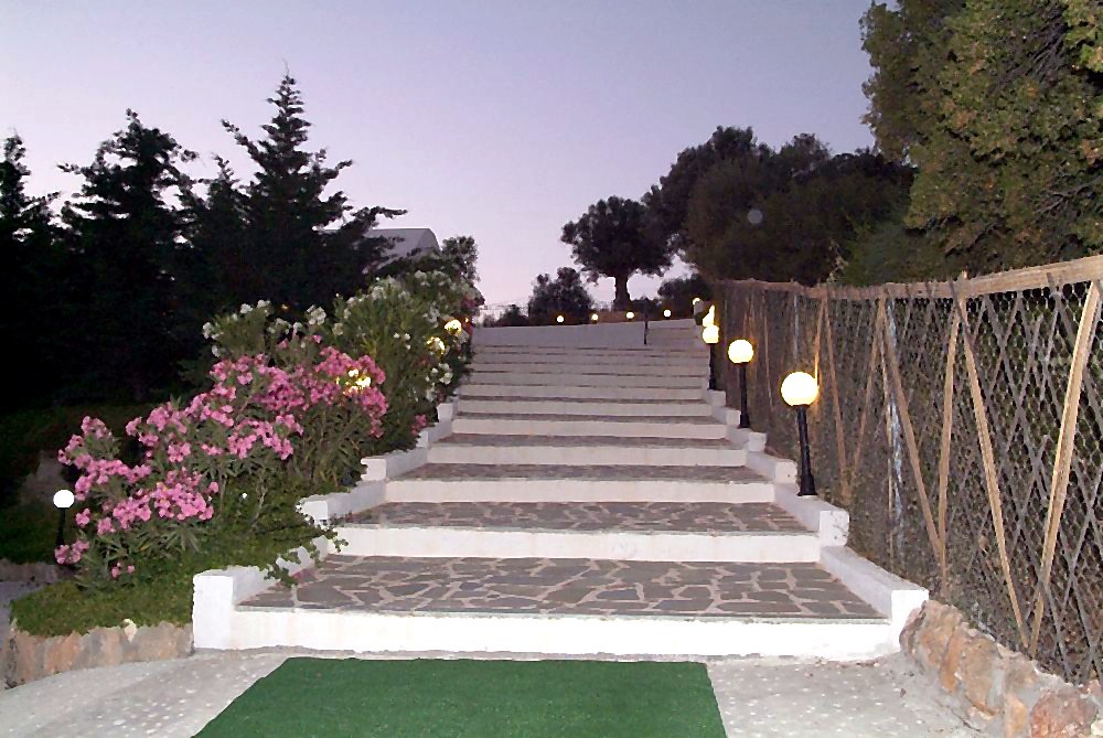 Πέτρινη σκάλα με ανθισμένες πικροδάφνες και φωτιστικά στον κήπο του Villa Domenica